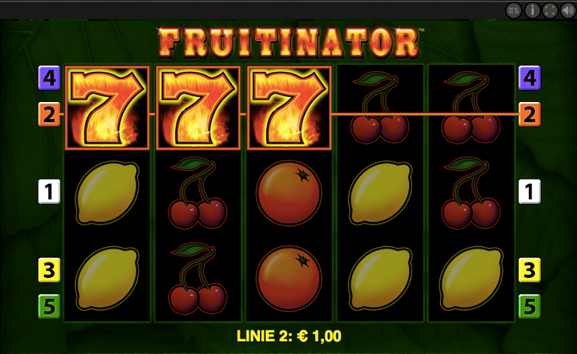 Fruitinator Gewinn