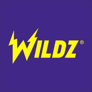 Wildz logo